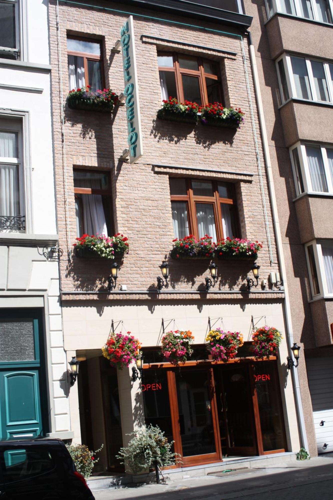 Logies Ocelot Guest house Ostend